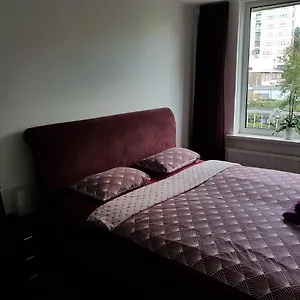 https://sunny-guesthouse.zandvoort-hotels.com